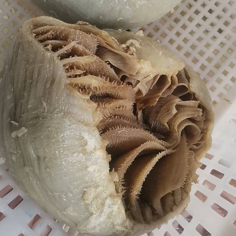 毛肚新鲜冷冻整个牛百叶5斤商用重庆火锅食材大叶片牛肚2500g包邮