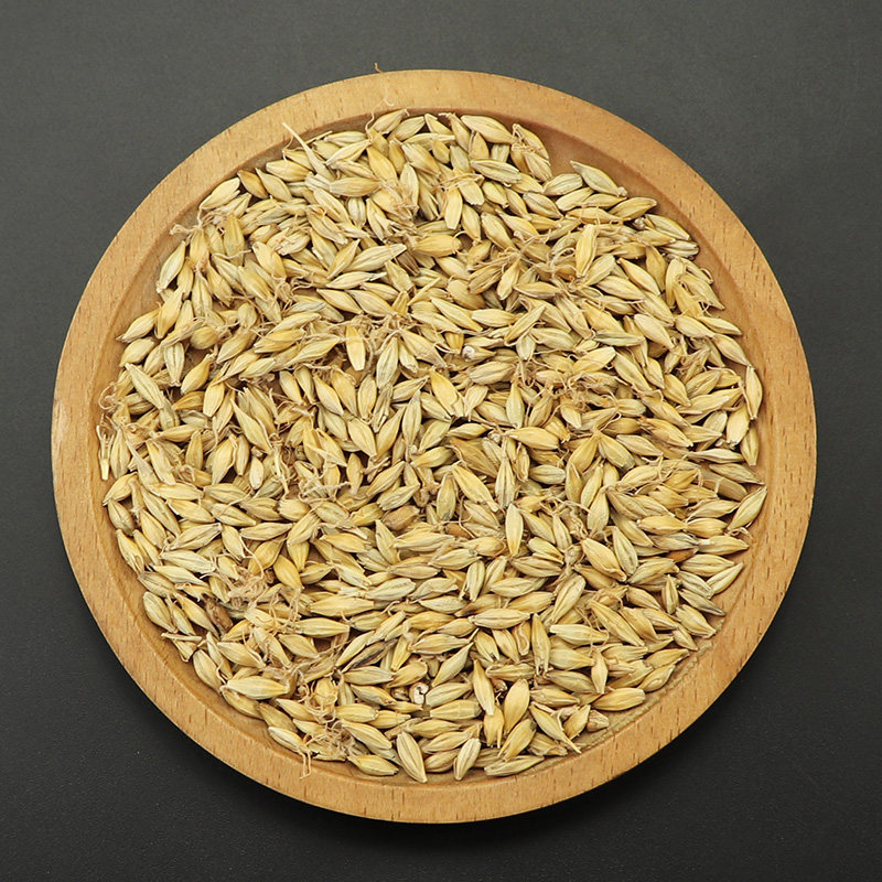 珍善元 农家麦芽500克 生麦芽 大麦芽 中药材供应