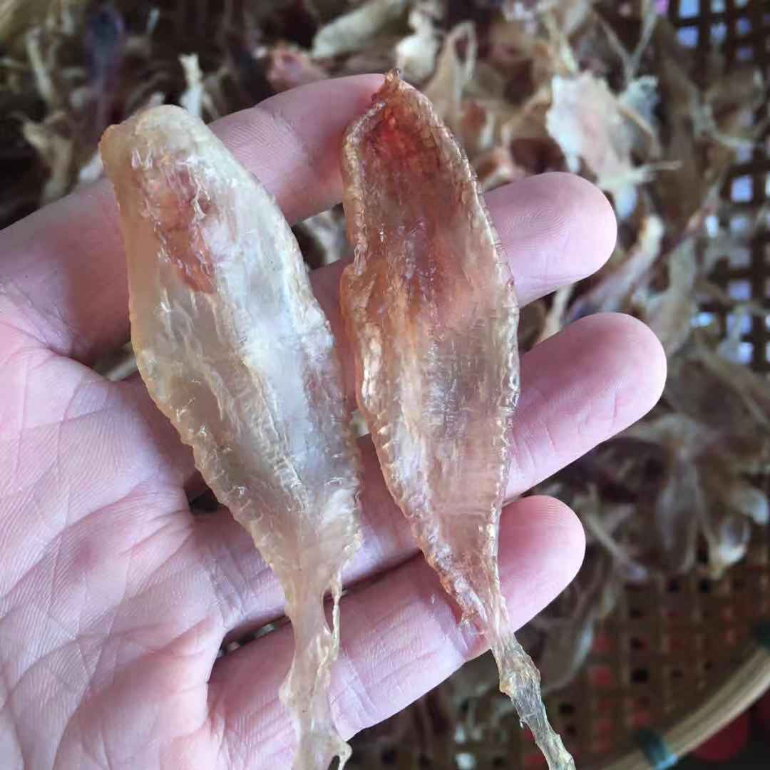 台山特产三牙鱼胶花胶鱼鳔渔家自晒原色无添加花胶