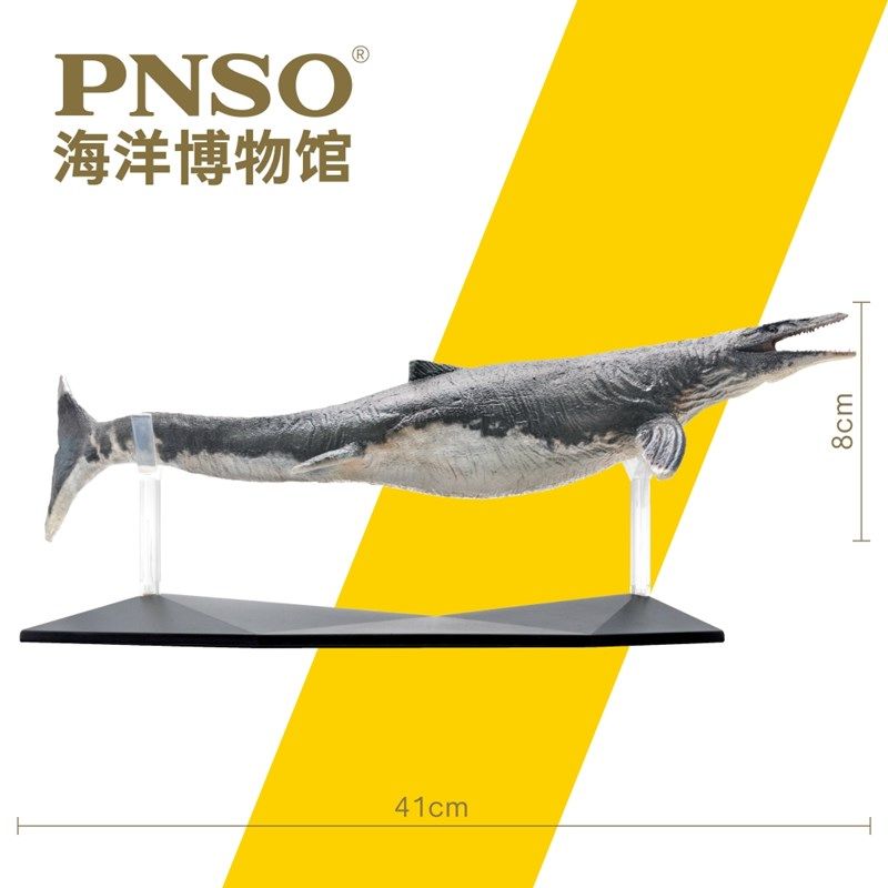 pnso沧龙罗恩恐龙博物馆科学艺术模型仿真