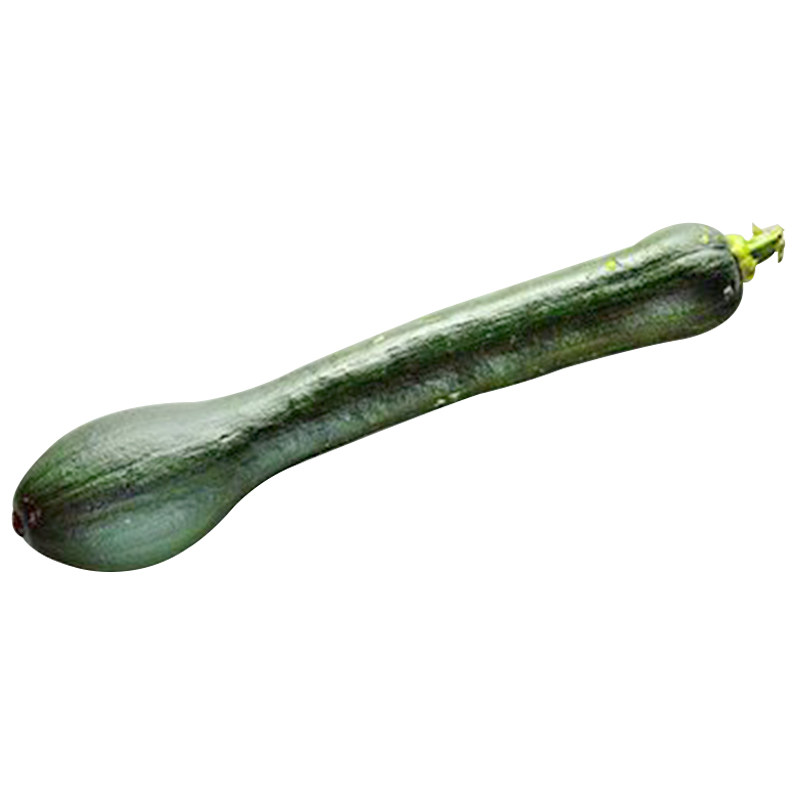 黑皮南瓜种子青皮大吊瓜倭番瓜春季特大高产家庭园艺种子