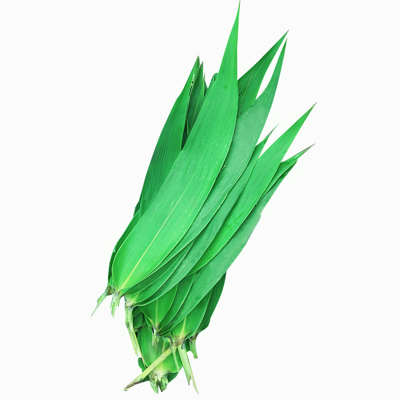 新鲜粽叶广东箬芒叶天然粽子子叶现摘现发农家其它干货