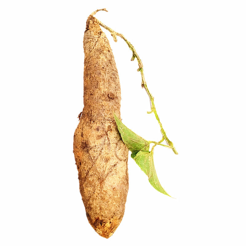 湘潭新鲜淮山白薯山药脚板红薯大薯农家肥种植番薯