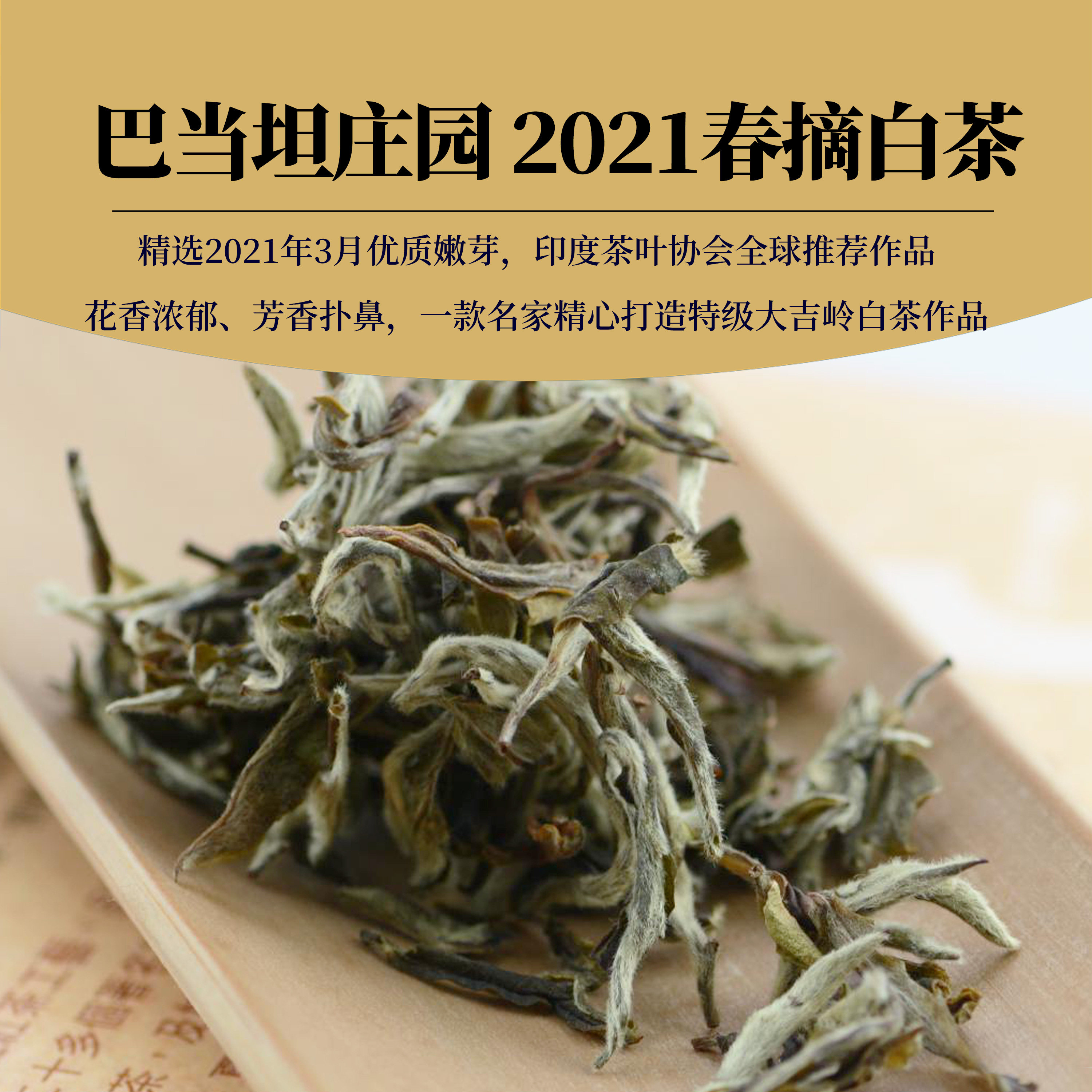 goldentips大吉岭白茶巴当坦庄园白色天骄特级春摘白毫银针