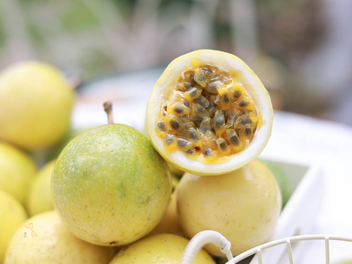 新鲜响鲜蜂蜜百香果海南特产当季热带水果树上熟坏百香果