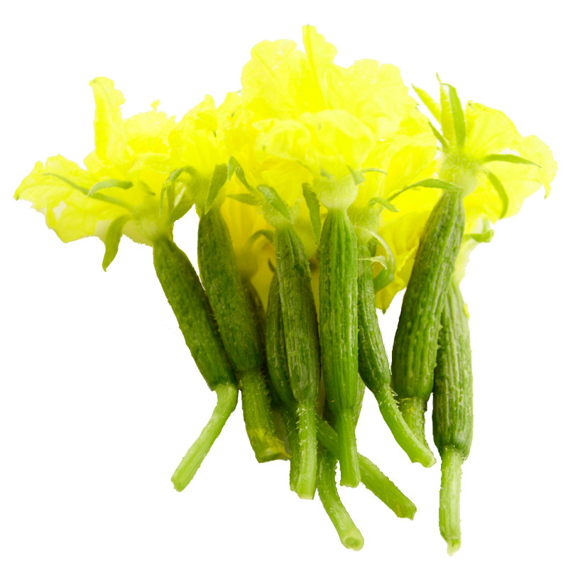 新鲜黄瓜花迷迷你苗现蔬菜小青瓜3斤顺丰包邮黄瓜