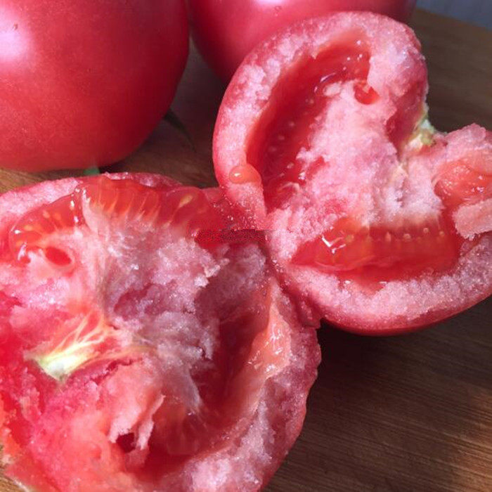 番茄粉丽人大种子西红柿种籽苗沙柿子品种蔬菜家庭园艺种子