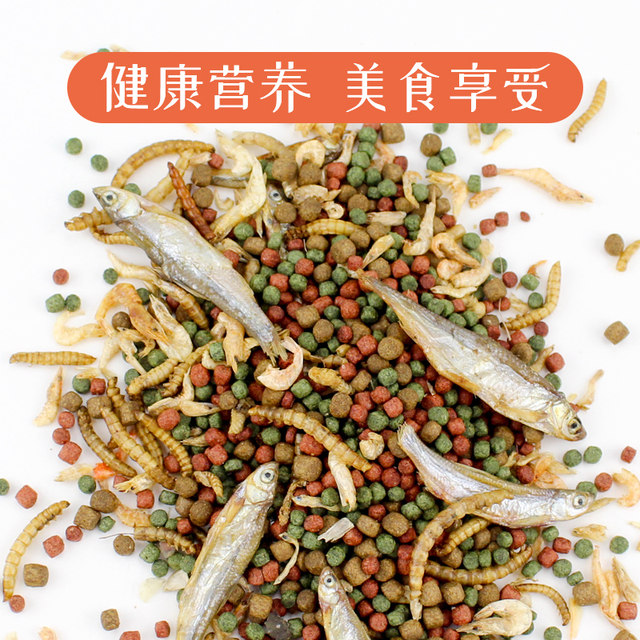 Small turtle feed universal turtle food fish dry shrimp dry freshwater Brazilian turtle Tortoise Turtle feed special food grain Small turtle feed universal turtle food fish dry shrimp dry freshwater Brazilian turtle Tortoise Turtle feed special food grain