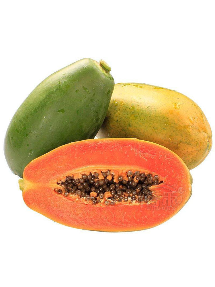 台湾农友红妃红心木瓜种子籽种非转种籽高产红肉大田水果种孑