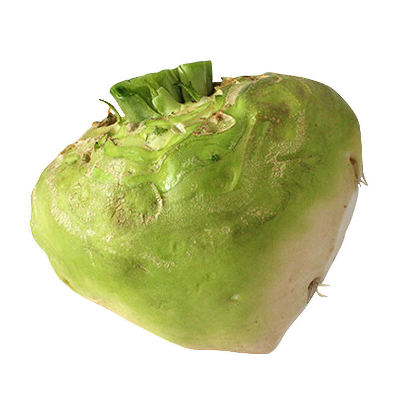 光头芥菜种籽籽种疙瘩辣菜盘菜咸菜大叶四川家庭园艺种子