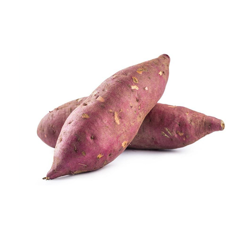 板栗白薯沙地白心红薯白瓤番薯红皮粉糯白肉地瓜四川农家新鲜10斤