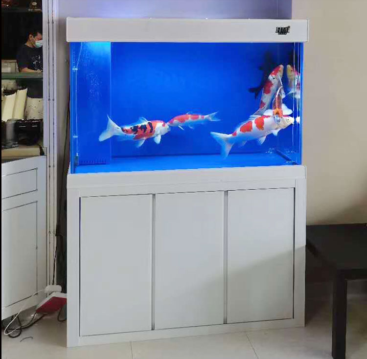 鸭嘴出水透明鱼缸喷头扁口亚克力管件配件改装其它水族用具设备