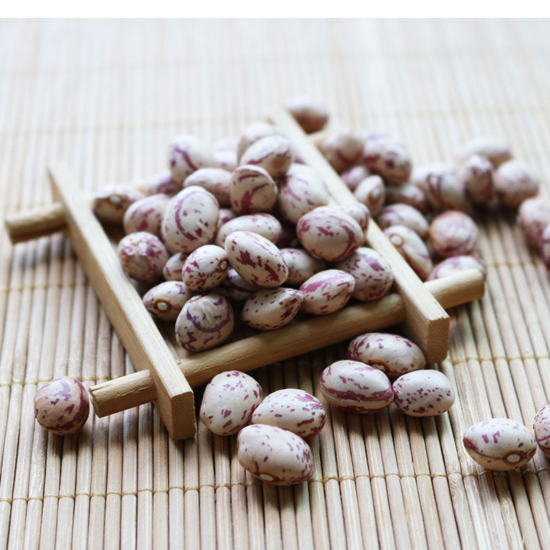贵州特产农家自种花芸豆豆米火锅底料雀蛋豆圆粒大粒饭豆新鲜粉糯