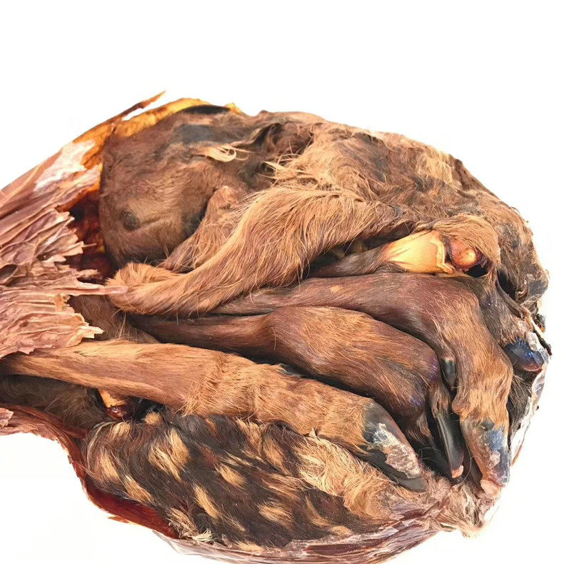 吉林梅花鹿胎粉女鹿胎膏鹿参膏多囊孕前鹿场直销鹿制膏