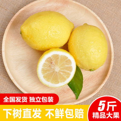 万州柠檬尤力克新鲜5斤装一级大果柠檬酵素奶茶店专用包邮
