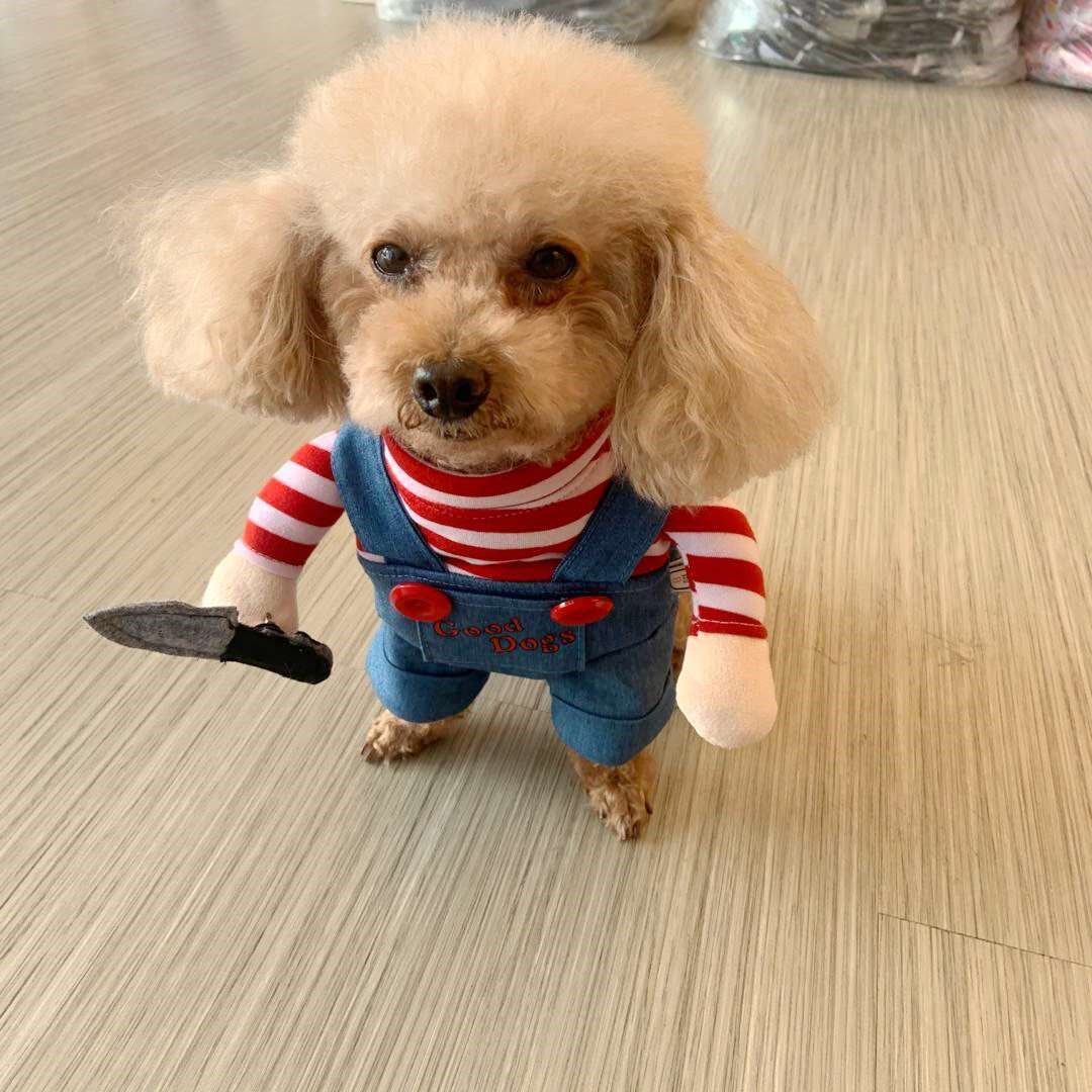 狗狗立体拿刀衣服恰吉站立搞笑宠物服装泰迪宠物服装