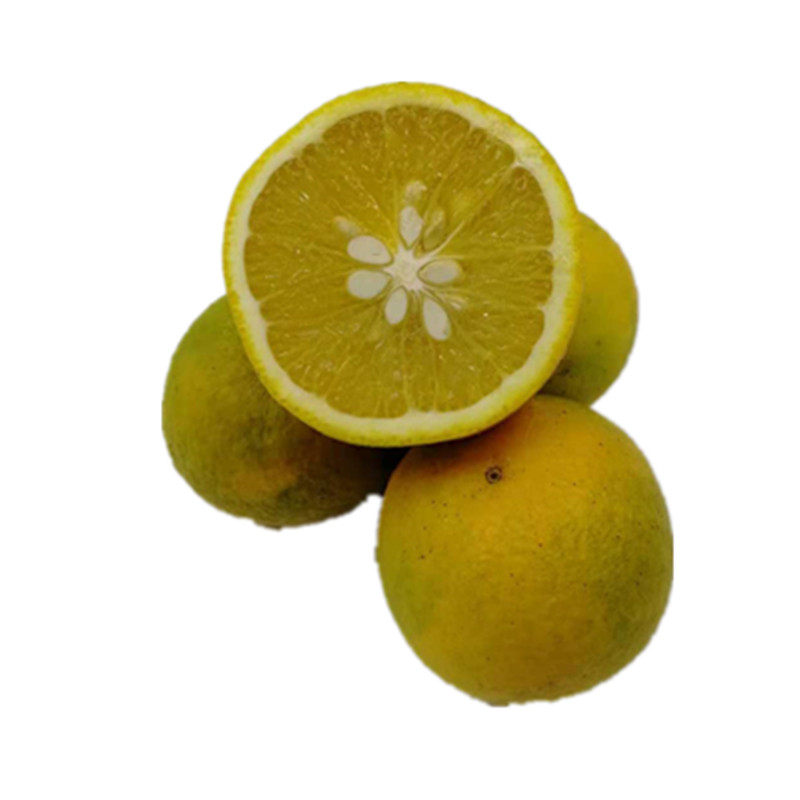 领域老释推荐桂林香妃橙纯甜不酸5斤装