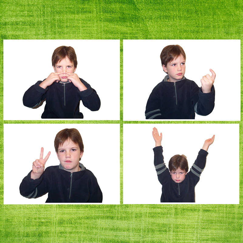 动作模仿塑封卡片自闭症孤独症发育迟缓配合合力玩具挂图