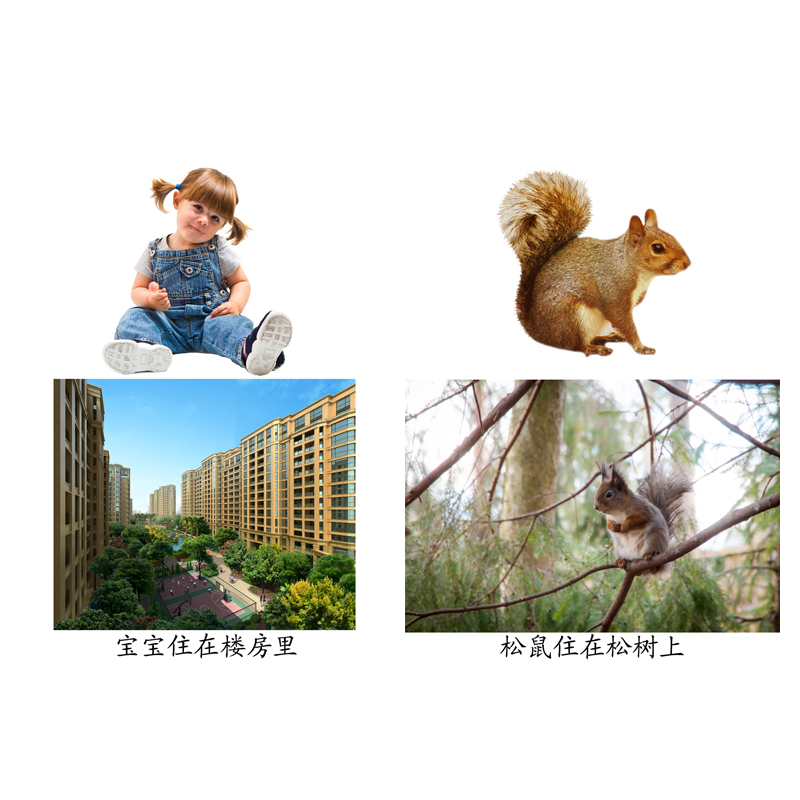 动物住在哪里认知卡自闭症训练卡片孤独症儿童语言aba早教塑封卡