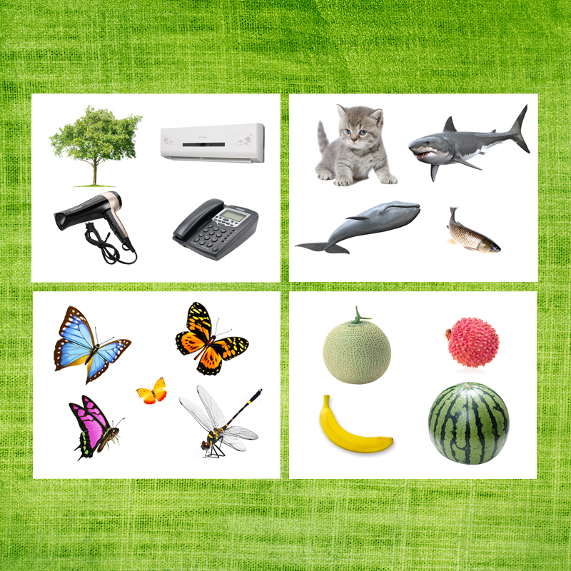 找不同类认知理解白底塑封学习教具孤独症自闭症玩具挂图