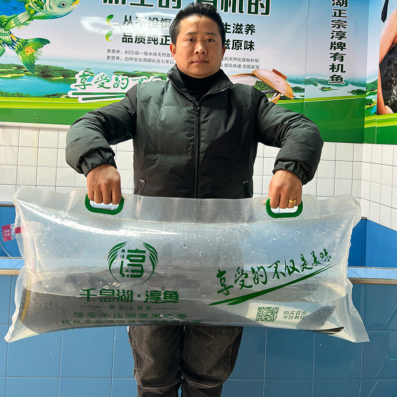 官方认证千岛湖淳牌有机活鱼正宗大头鲢鱼鳙鱼包淡水鱼类