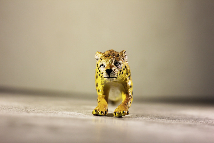 正版aaa美国仿真动物模型 孩子认知奔跑的花豹 豹子 公仔创意玩具