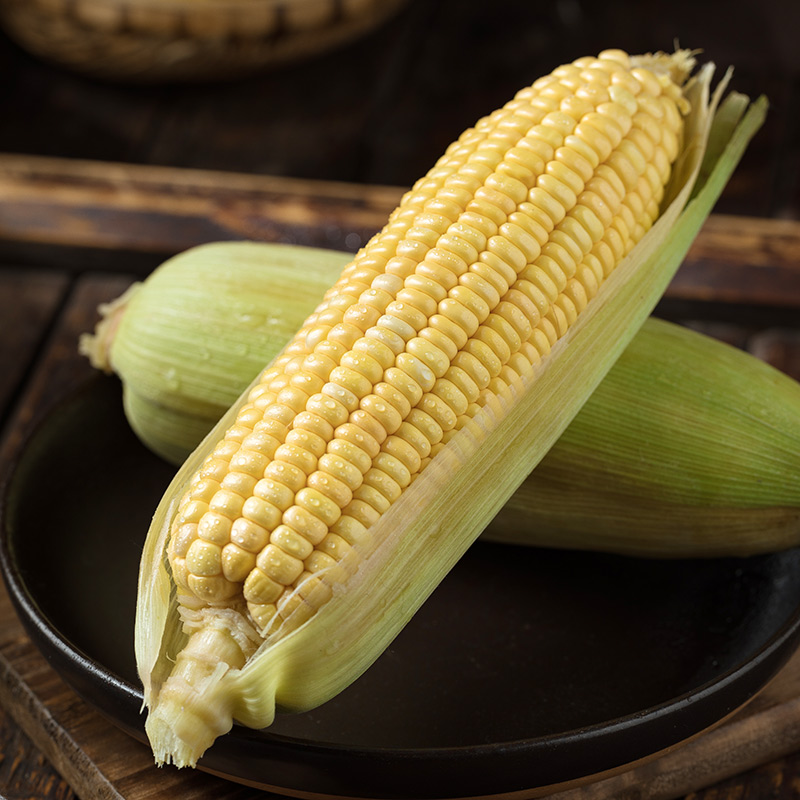 云南水果玉米米新鲜花苞谷现摘即食生吃玉米棒新鲜玉米