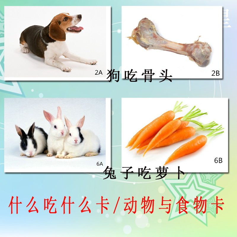 什么动物食物喜好自闭症孤独症康复训练教材语言玩具挂图