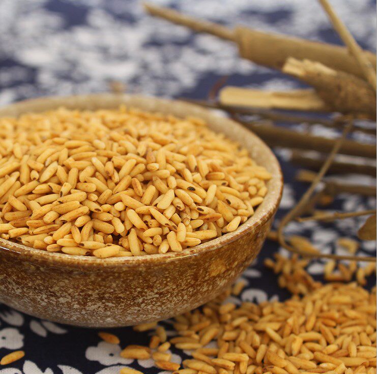 焦米粳米大米炒米米粥代用茶焦米炒焦炒熟泡水传统滋补品其他