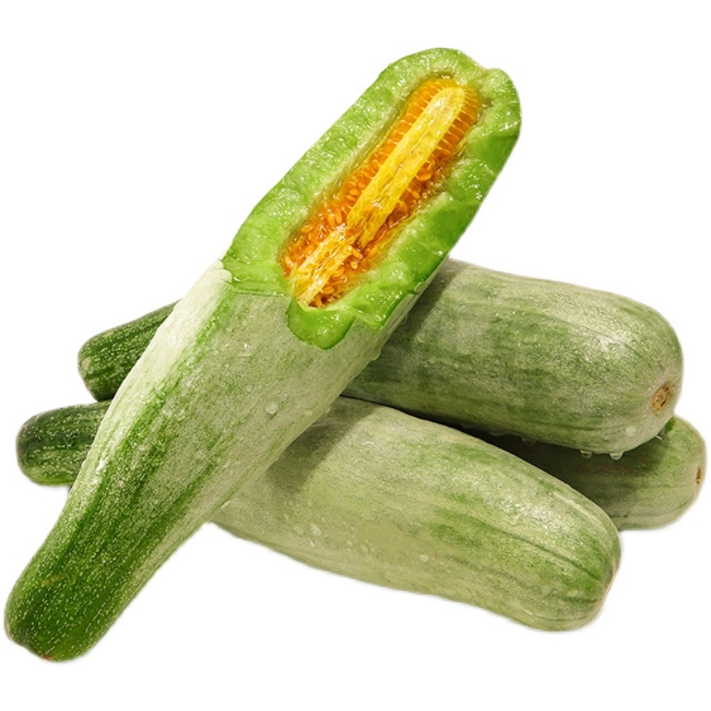 羊角甜瓜山东现货小香香瓜头茬蜜瓜新鲜水果甜瓜