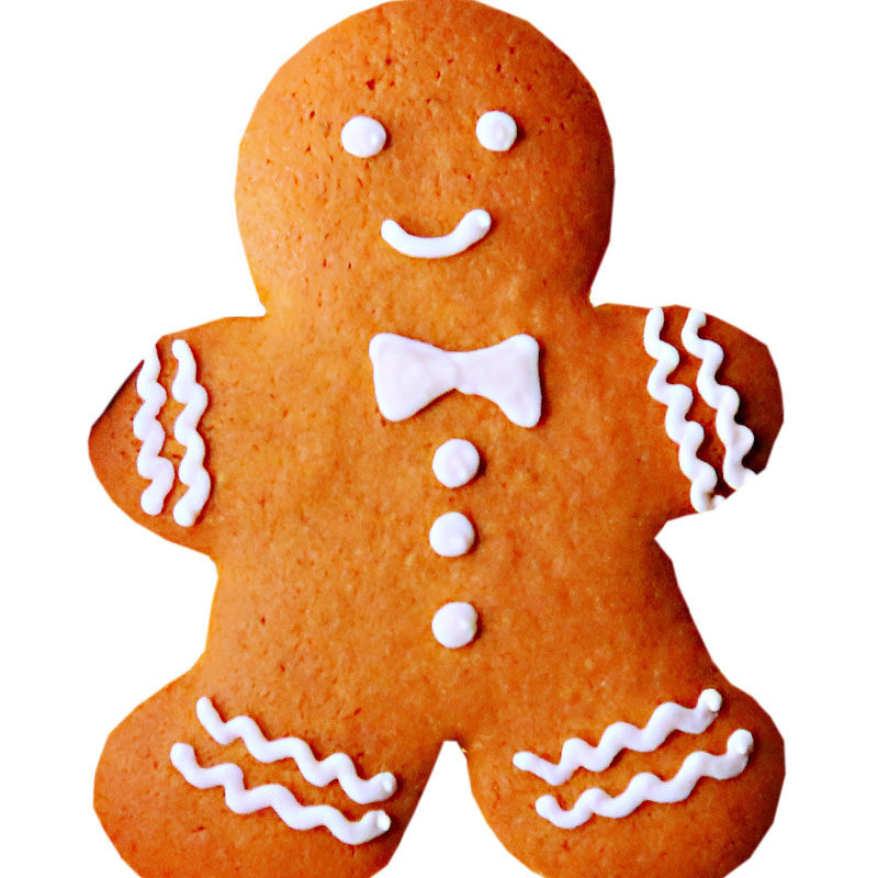 圣诞节姜饼人手工diy糖霜饼干卡通定制甜品伴手曲奇饼干