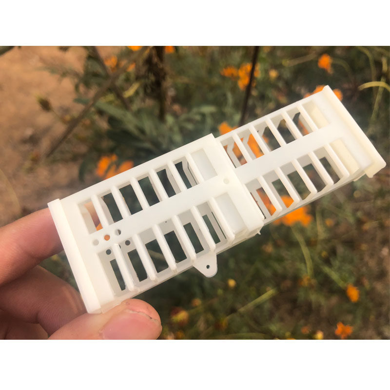 蜂具养蜂工具塑料王笼蜜蜂王笼多功能蜂王笼囚蜂王囚王笼中蜂专用