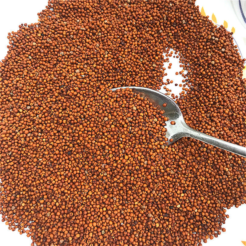 粟米小米鸭脚粟红1斤装龙爪米粉原料米粥小孩小米