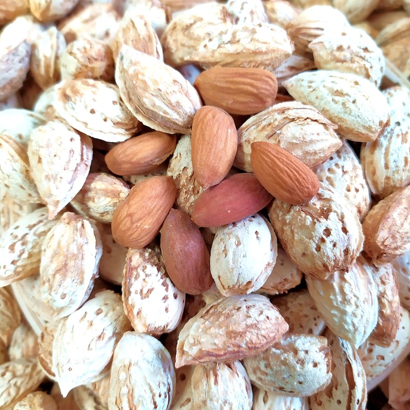 巴旦手剥原味薄皮500克新疆特产莎车坚果仁干果其它