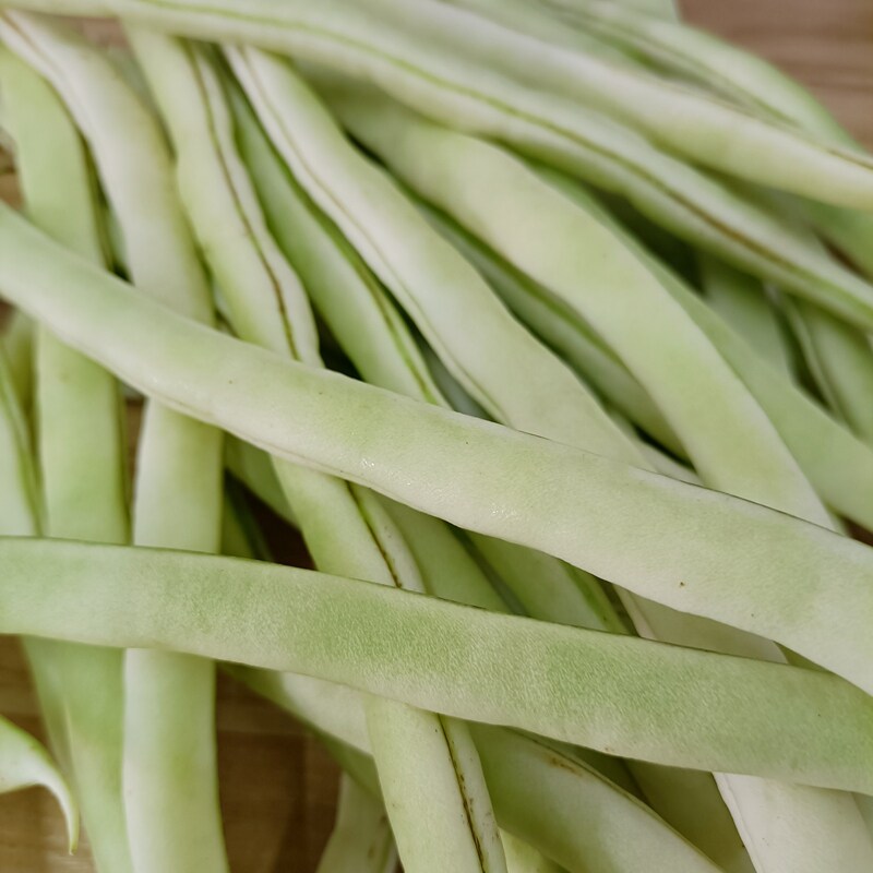 豆角东北九月开锅白豆角特产家长菜农蔬菜新鲜其它