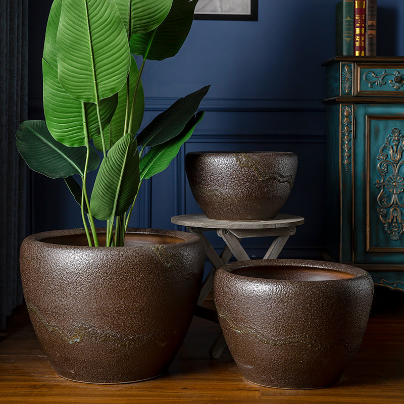 景德镇睡莲碗莲荷花乌龟水缸铁树盆景花盆庭院桌面缸