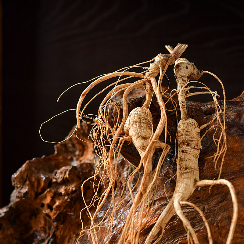 人参长白山野山东北林下野生20年泡酒山干货整枝山参