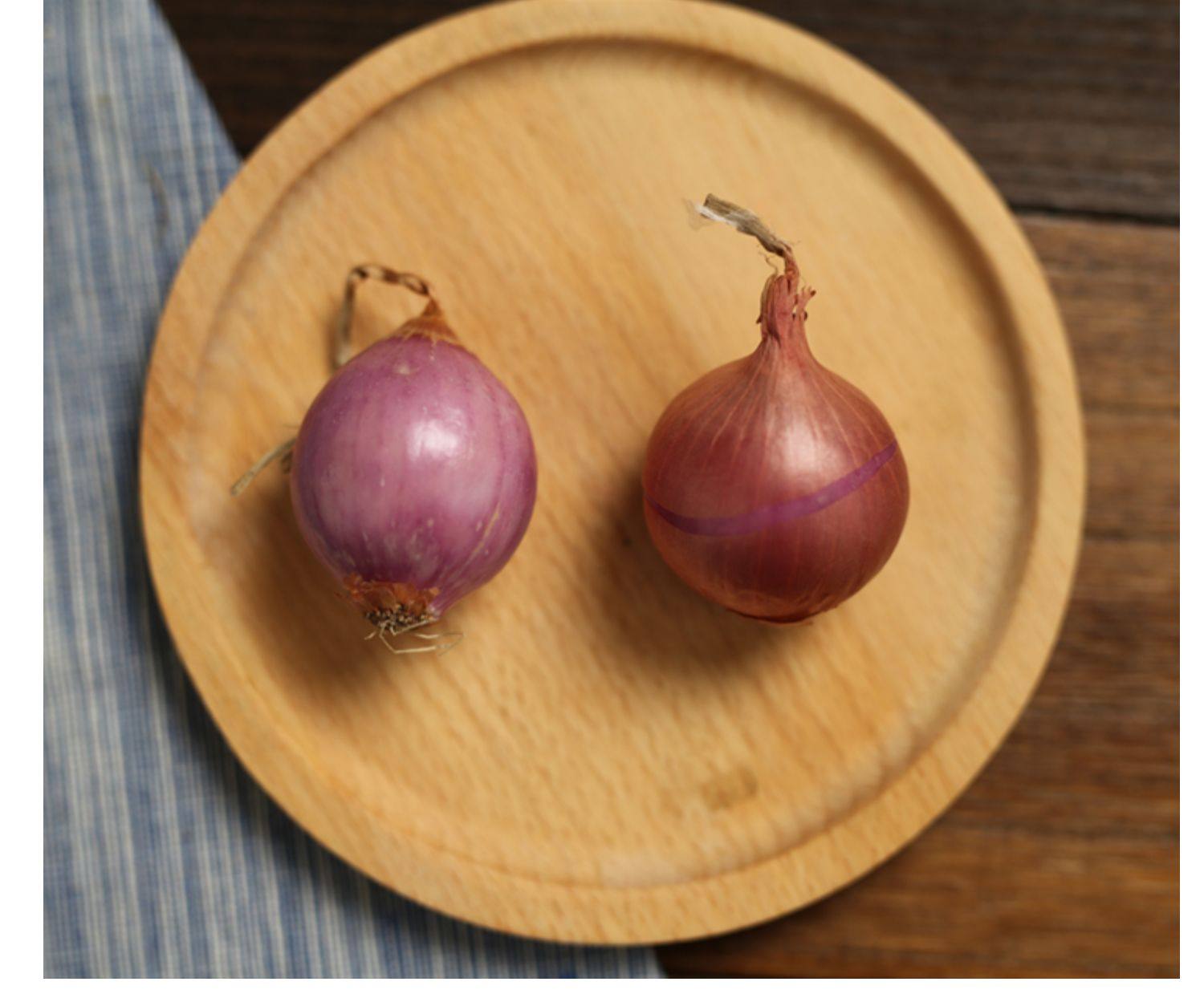 2021年新毛葱正宗东北农家自产小洋葱洋葱头迷你红葱头其它