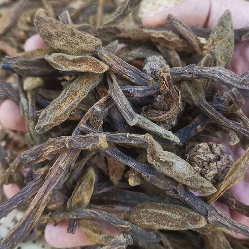 新货云南野生仙草不上通天蜡烛石上菠萝500g其他药食同源食品