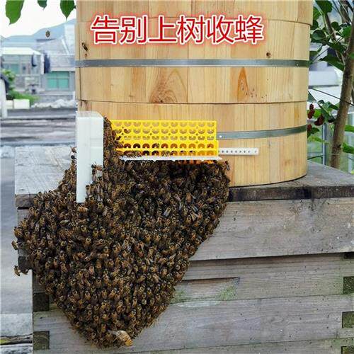 蜂器收中蜂防逃神器圆桶分蜂x多功能逃片蜂箱蜜蜂自动巢门蜂王分