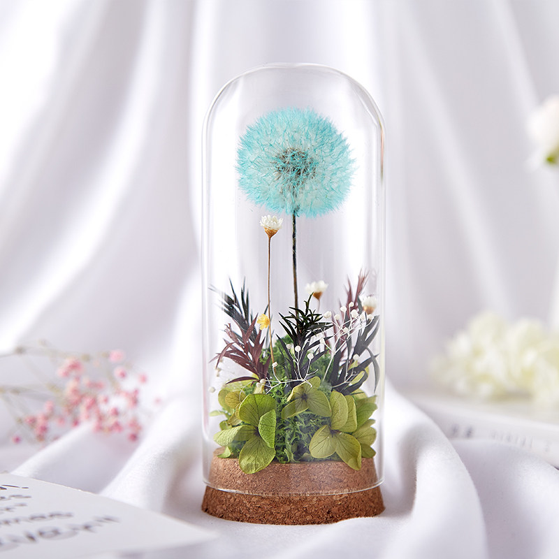礼物永生花蒲公英摆件玻璃罩干花女友闺蜜老师生日摆件