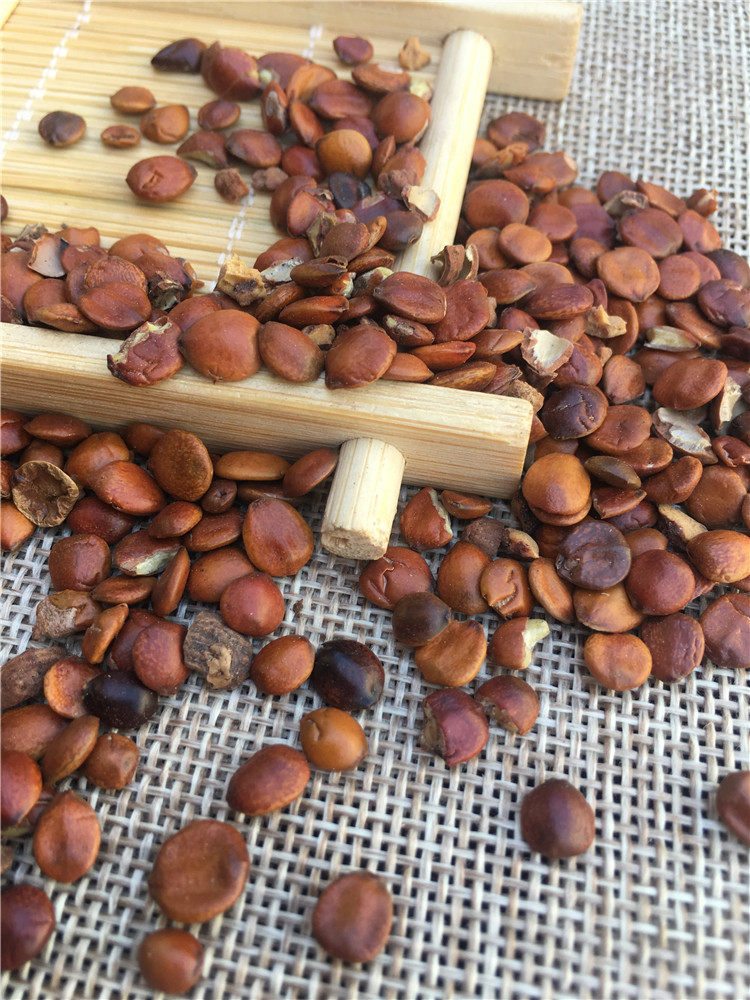 酸枣50克整个进口枣仁干非国产天然无硫可炒酸枣仁