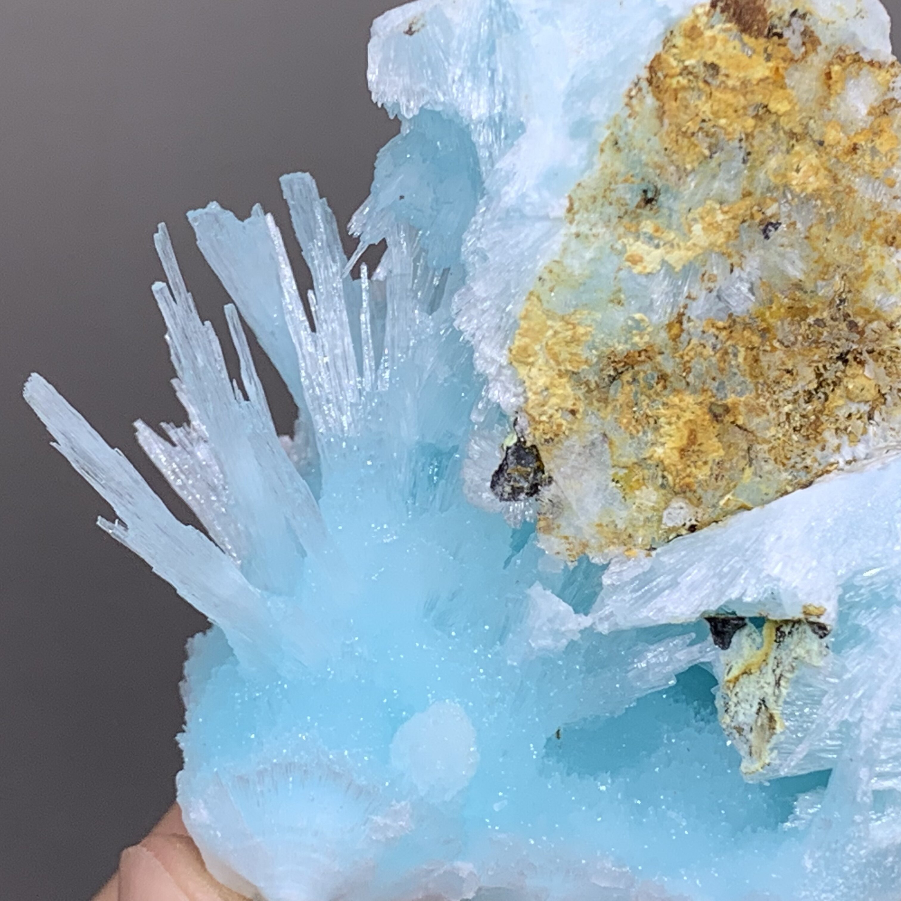 云南蓝纹石天然矿物晶体矿石标本收藏观赏摆件摆件