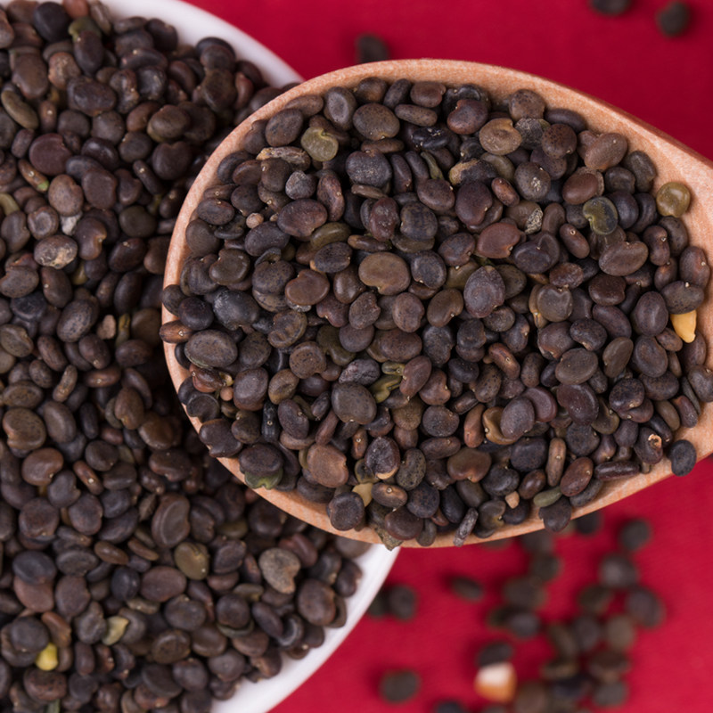 黄芪种子野生特级种籽中药材种植植苗内蒙古铁杆家庭园艺种子