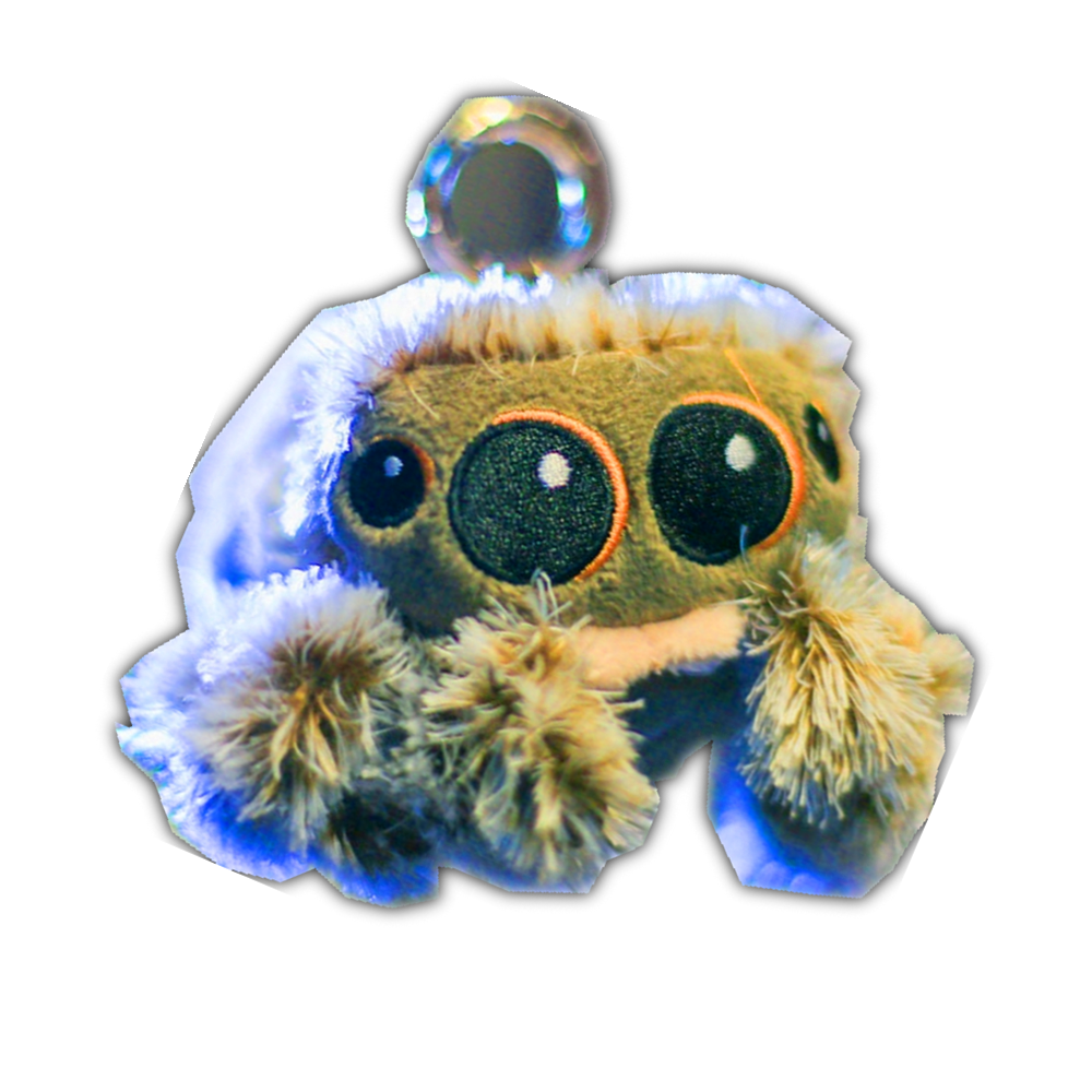 跳跳蛛 小蜘蛛卢卡斯 spider 毛绒玩具布偶布娃娃公仔 蜘蛛公仔