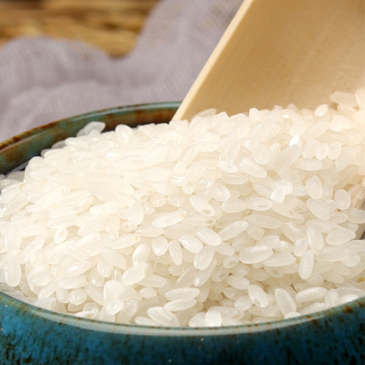 大米10kg东北大米新米黑龙江五常农家自产现磨长粒香米粳米