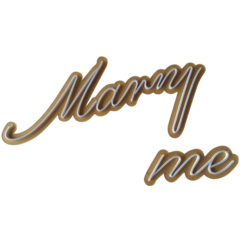 marryme嫁给给我求婚霓虹灯定制生日快乐ledhappybirthday装饰灯