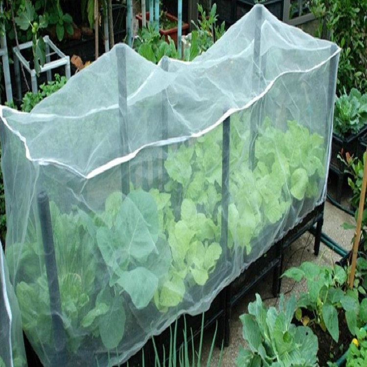防虫网罩蔬菜果树家用防护定制室外专用加密防鸟大棚农用菜园保护