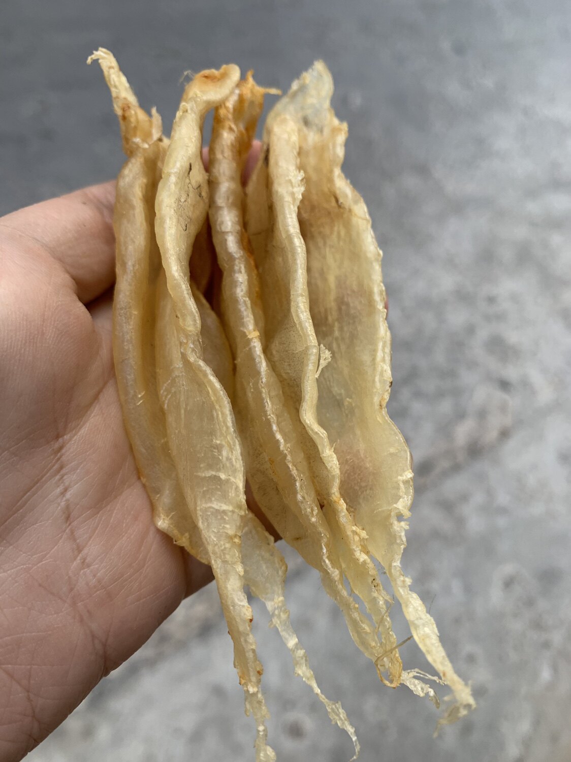 深海大口赤嘴鱼胶花胶自晒无添加干货备孕月子花胶