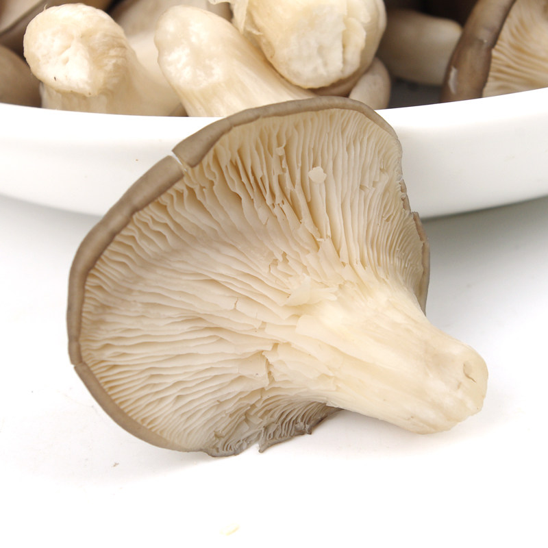 秀珍菇250g 新鲜蔬菜菌类 富含氨基酸 菜市场沃鲜汇生鲜超市